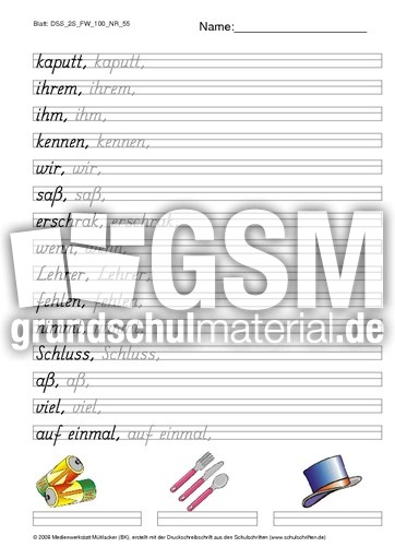 DSS_2S_FW_100_NR_55.pdf